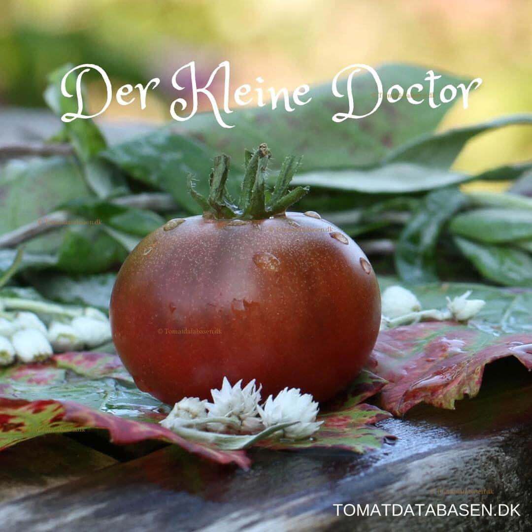 Der kleine Doctor